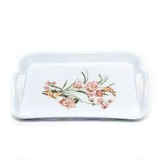 Hh- Decent Melamine Tray C2
