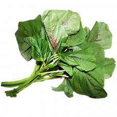Fr-Jidan Managu


 Per Bunch