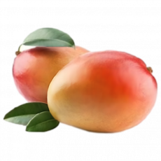 Kent Mango



 Per Kg