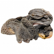 Beef Matumbo (Tripe) &ndash; 500G