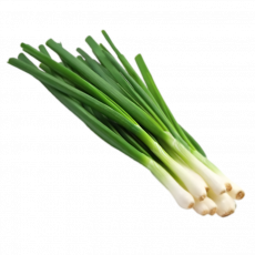 Salad Onions 100G Bunch
