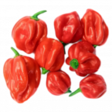 Scotch Bonnet Chillies &ndash; 100G