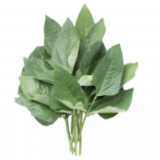 Kunde (Cowpea Leaves) &ndash; Per...