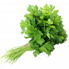 Dhania (Coriander) &ndash; Per...