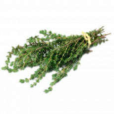 Fresh Thyme &ndash; Per Bunch