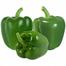 Green Capsicum &ndash; Per Kg