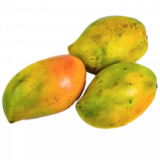 Ngowe Mangoes &ndash; Per Kg