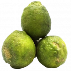 Lemons (Local) &ndash; Per Kg