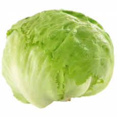 Fr-Jidan Ice Berg Wrapped Lettuce