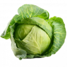 Cabbage &ndash; Per Piece