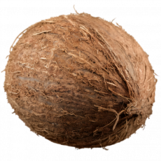 Whole Coconut &ndash; Per Piece