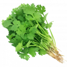 Dhania Per Bunch